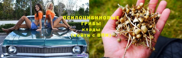 ALPHA-PVP Карпинск