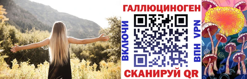 Купить закладки  Озёры  Псилоцибиновые грибы Psilocybe 